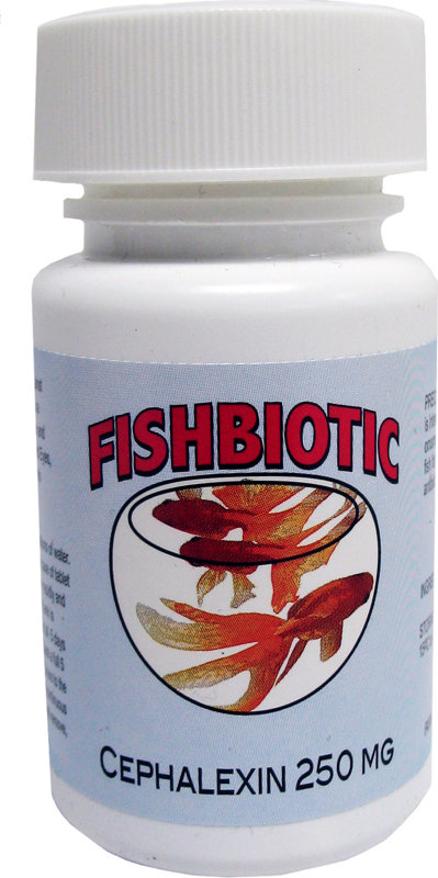 buy chloromycetin 250